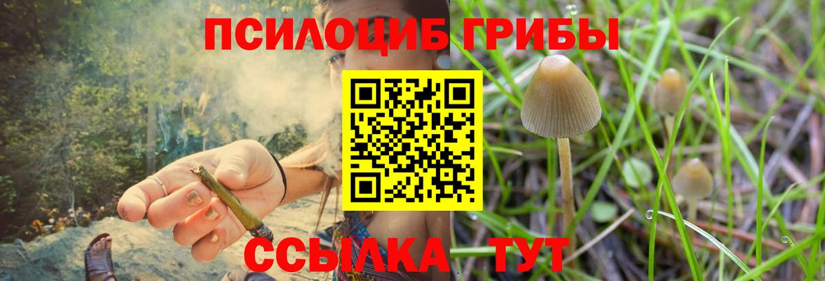 как найти закладки  Галлюциногенные грибы мухоморы  Вход с VPN  Орехово-Зуево 